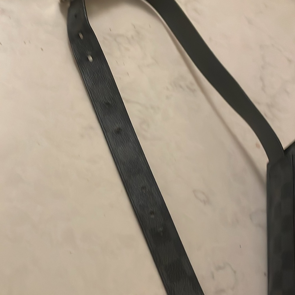 Louis Vuitton Damien belt bag - Picture 9 of 11